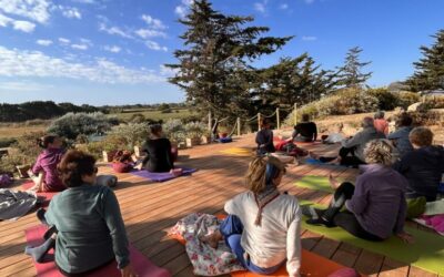 Stage de yoga en Normandie face à la mer du jeudi 16 au dimanche 19 juillet 2026.