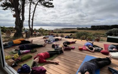 Stage Yoga & Randonnées en Normandie – 24 au 30 juillet 2026