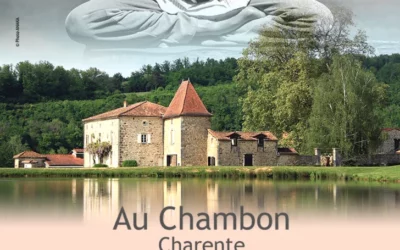 Festival de yoga OM Shanti